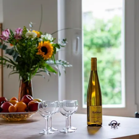 Casa de Férias Petit Manoir En - Parking Prive - 15 Min Hyper-centre Estrasburgo