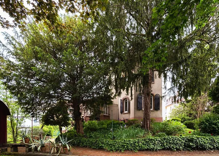 Petit Manoir En - Parking Prive - 15 Min Hyper-centre Straatsburg